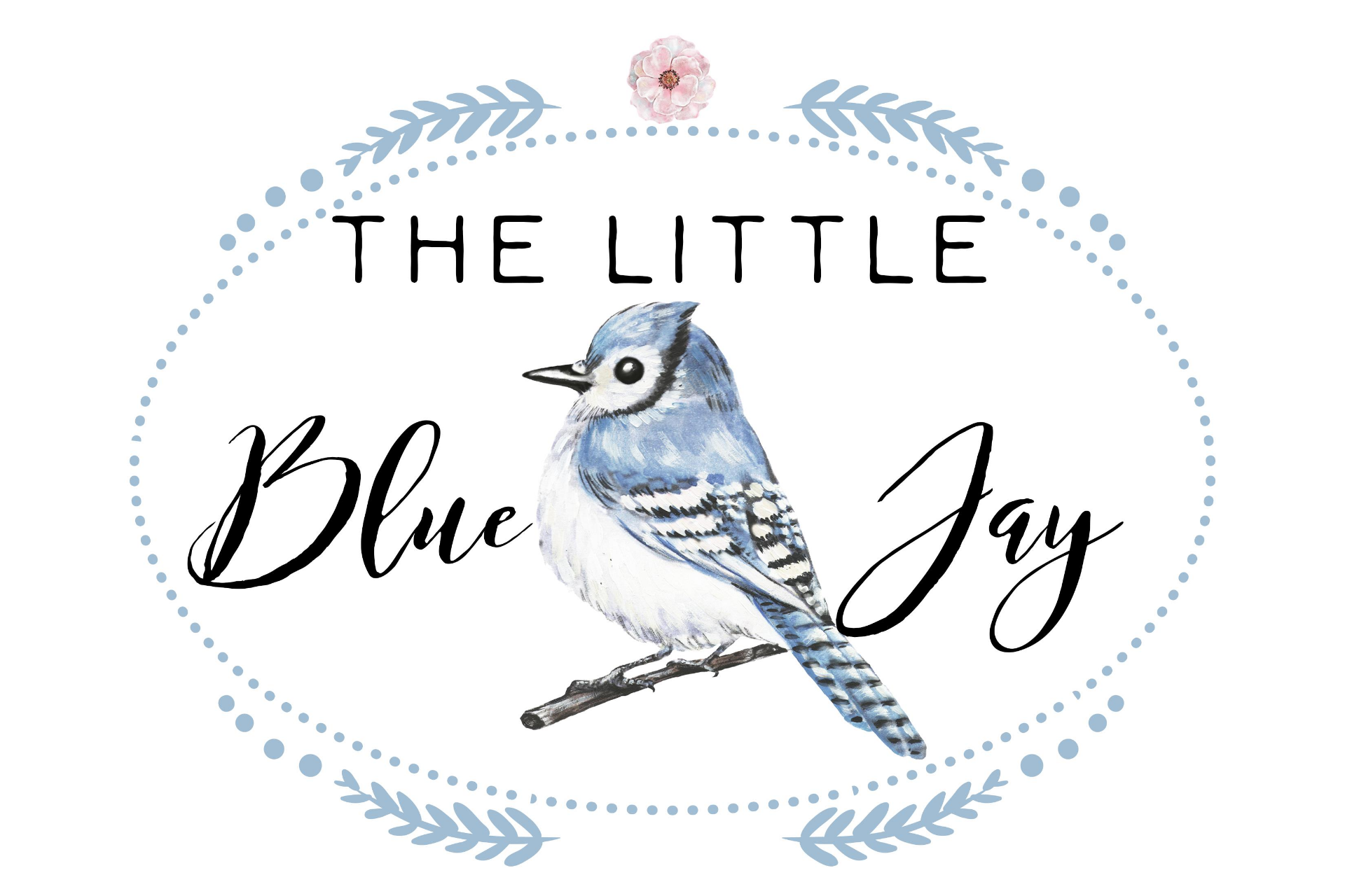 A Little about the BLUE JAY